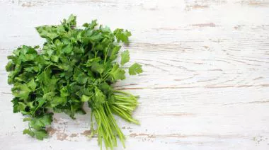 garnishing-instructions-image